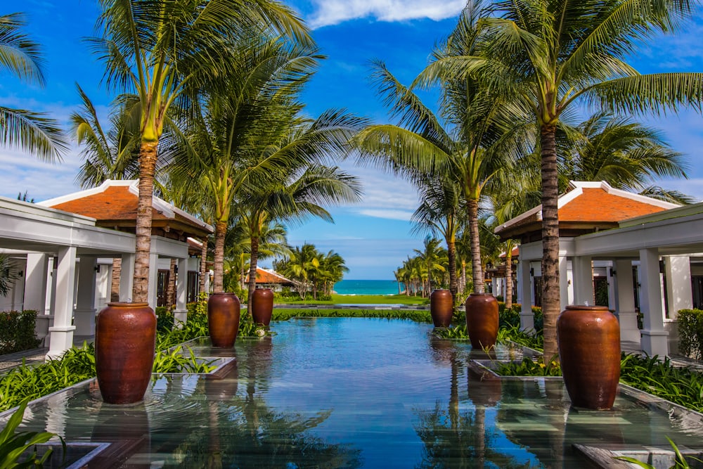 A luxury resort infinity pool overlooking the sea